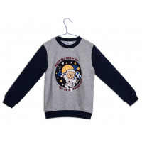 Джемпер (толстовка) для мальчика