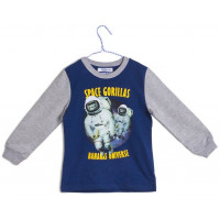 Джемпер (толстовка) для мальчика