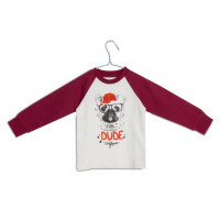 Джемпер (толстовка) для мальчика