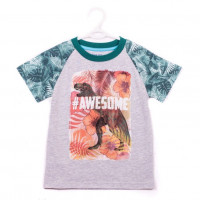 Фуфайка (футболка) с коротким рукавом для мальчика