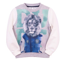 Толстовка для мальчика