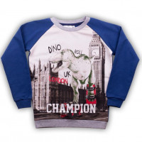 Толстовка для мальчика